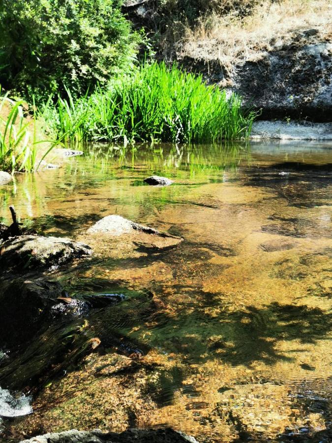 Вилла O Refugio Коимбра Экстерьер фото